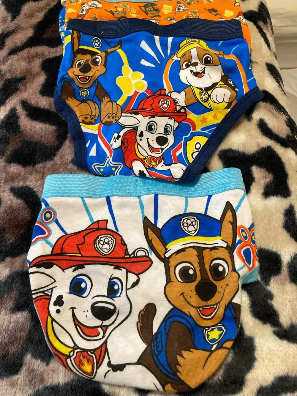 12 PAW Patrol Kids Briefs - Blue/Red/Yellow Character Underwear